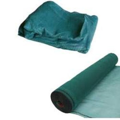 cat dixtya elaiosylloghs